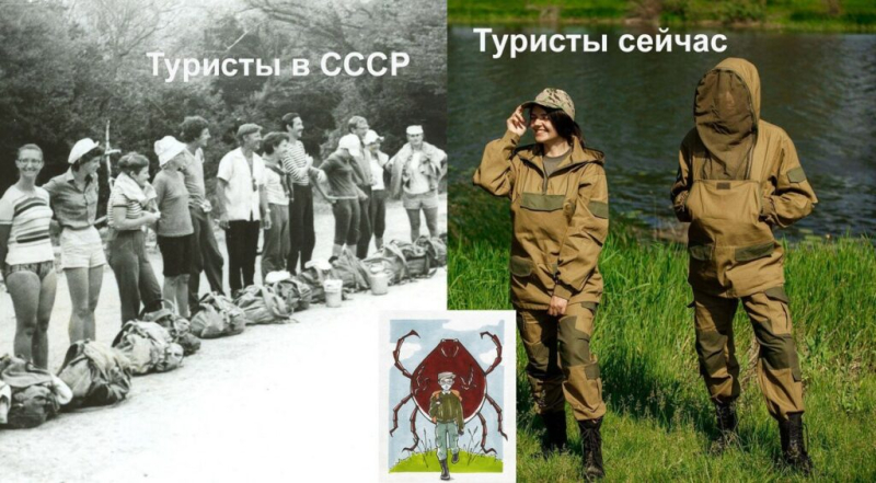 Почему в СССР не боялись клещей