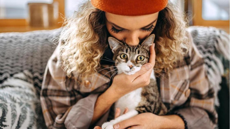 В Сеченовском университете объяснили, как работает новая вакцина от аллергии на кошек